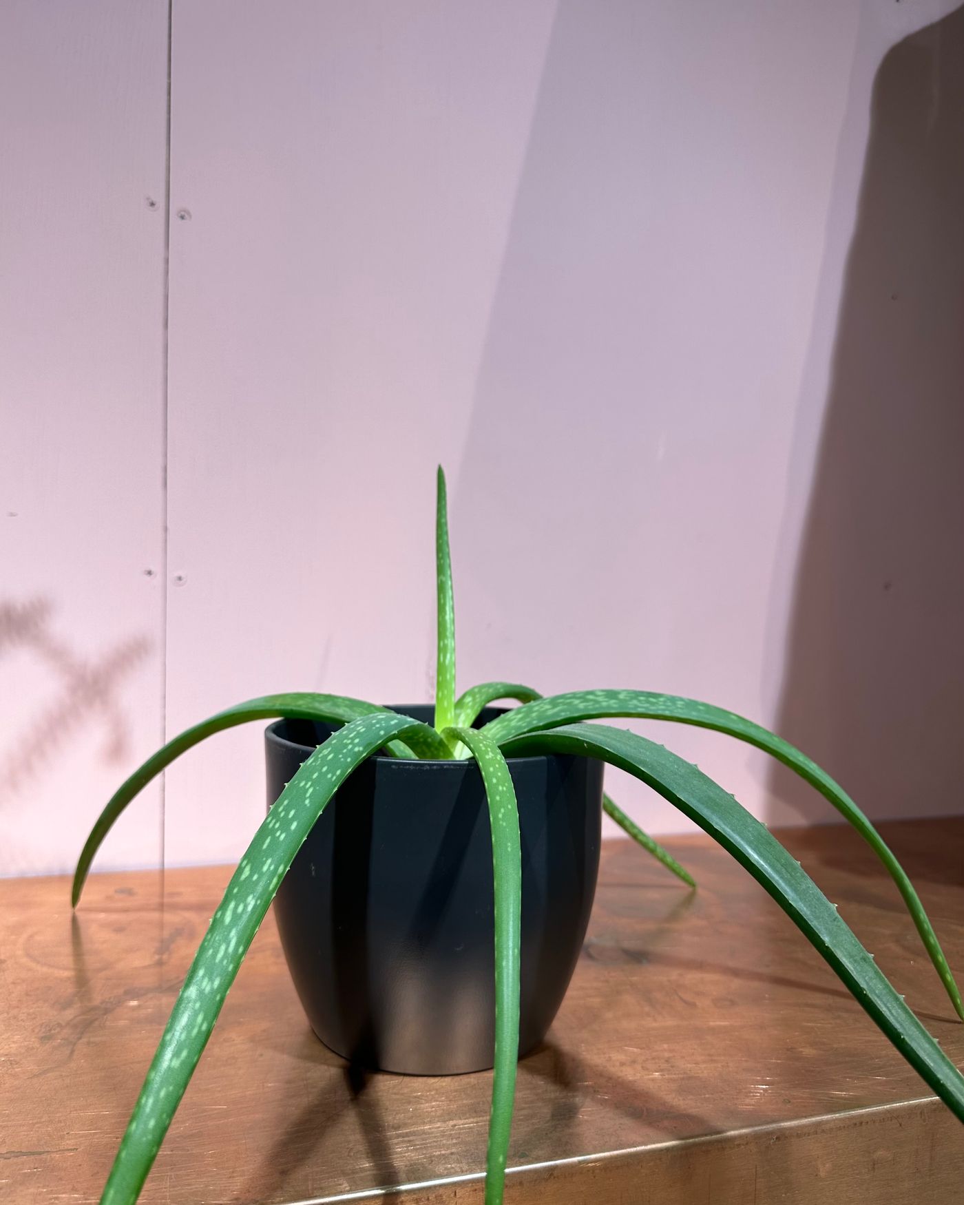 Produktbilde 2